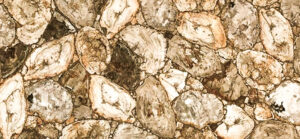 White Petrified Wood Retro
