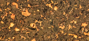 Septaria Yellow