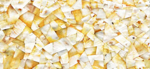 golden mother of pearl