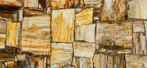 brown petrified wood retro