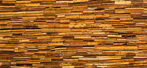 Tiger Eye