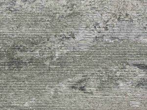 Grey White Veining