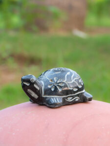 Black Stone Turtle