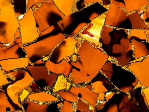 mockite jasper