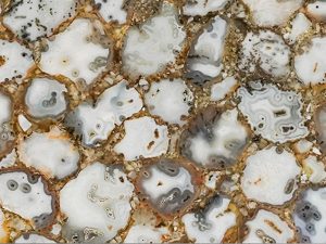 fossil agate