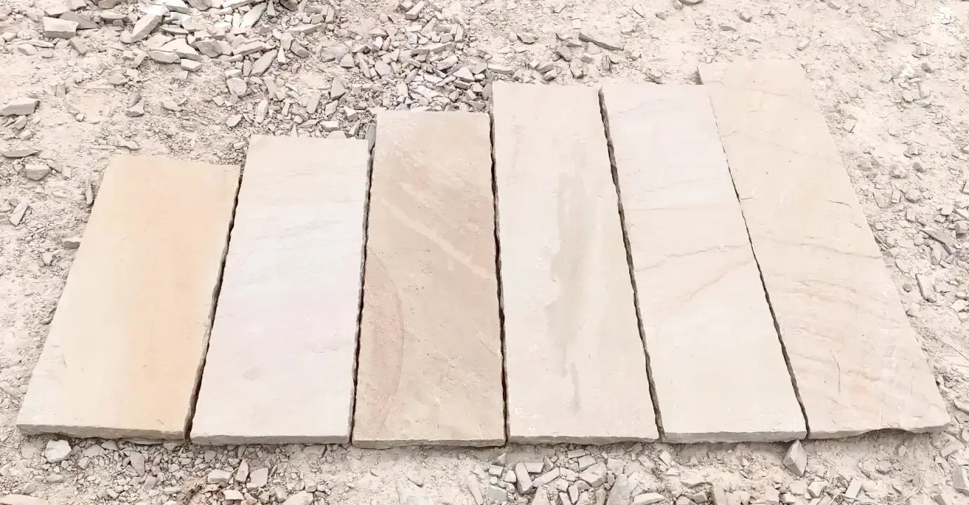 Desert Mint - Image 7